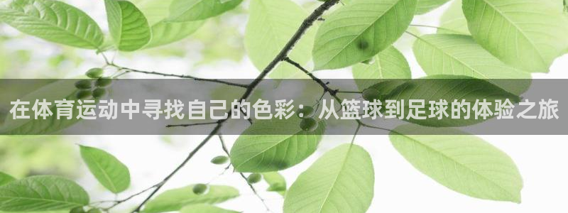 JJB竞技宝官网下载平台