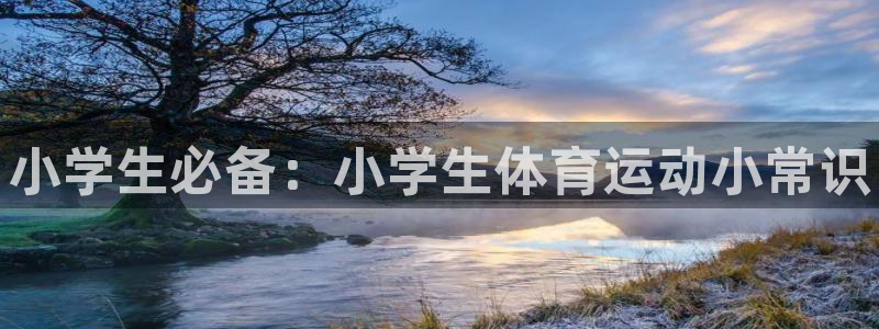 JJB竞技宝官网下载平台注册流程图：小学生必备：小学