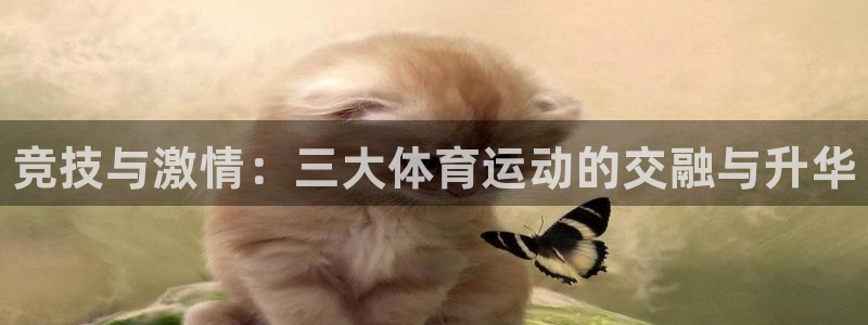 JJB竞技宝官网下载招商电话是多少号码