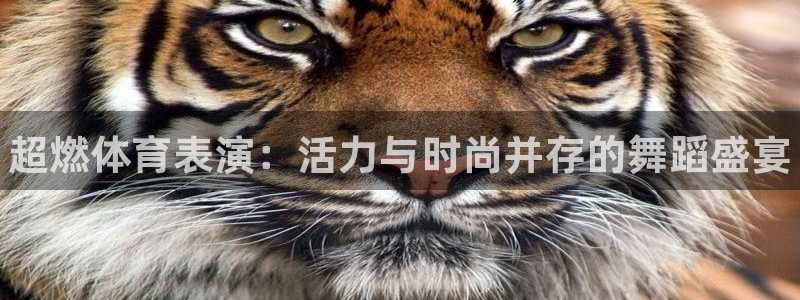 JJB竞技宝官方正版app集团E.ON：超燃体育表演