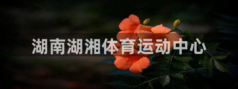 JJB竞技宝官网下载平台注册流程视频：湖南湖湘体育运