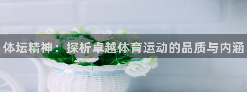 JJB竞技宝官网下载平台注册流程图：体坛精神：探析卓