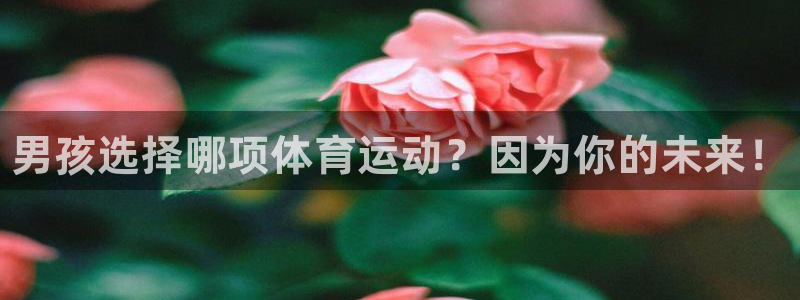 JJB竞技宝官网下载招商电话地址是多少：男孩选择哪项体育运动