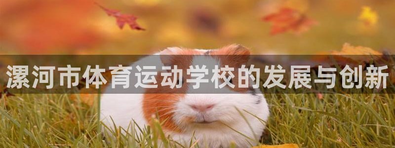 德国JJB竞技宝官方正版app集团：漯河市体育运动学