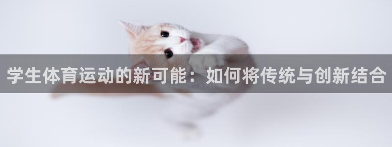 JJB竞技宝官方正版app集团E.ON：学生体育运动的新可能