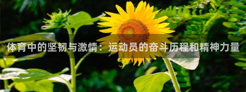 JJB竞技宝官网下载平台注册要钱吗是真的吗：体育中的坚韧与激