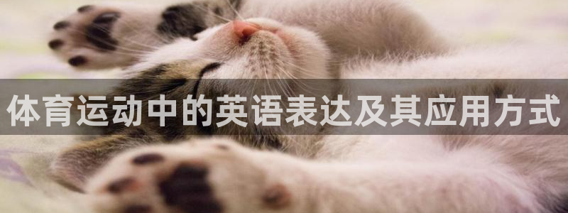 JJB竞技宝官网下载招商电话是多少啊：体育运动中的英