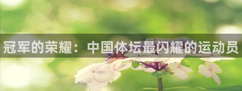 JJB竞技宝官方正版app娱乐首页网站大全：冠军的荣耀：中国