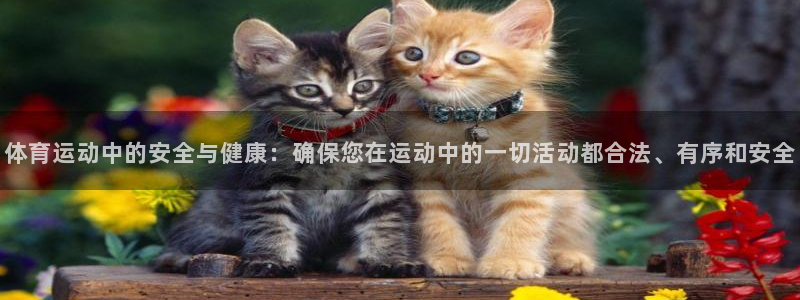 JJB竞技宝官网下载招商电话地址查询