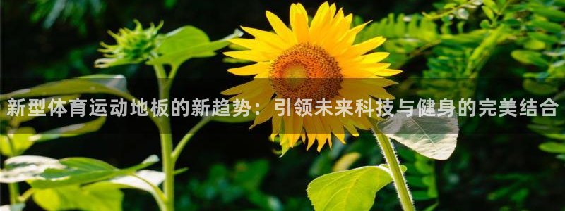 JJB竞技宝官网下载平台是正规平台吗