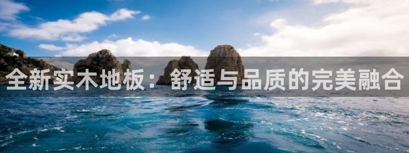 JJB竞技宝官网下载软件：全新实木地板：舒适与品质的