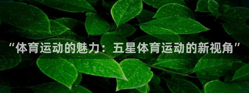 JJB竞技宝官方正版app娱乐是那个系列的台子:“体育运动的