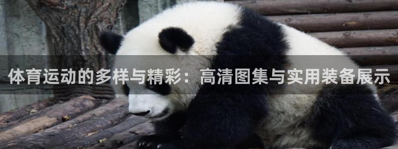 JJB竞技宝官方正版app娱乐首页官网下载