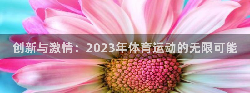 JJB竞技宝官网下载平台假的吗是真的吗:创新与激情:2023