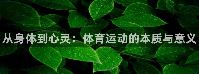 JJB竞技宝官网下载平台注册要钱吗是真的吗：从身体到