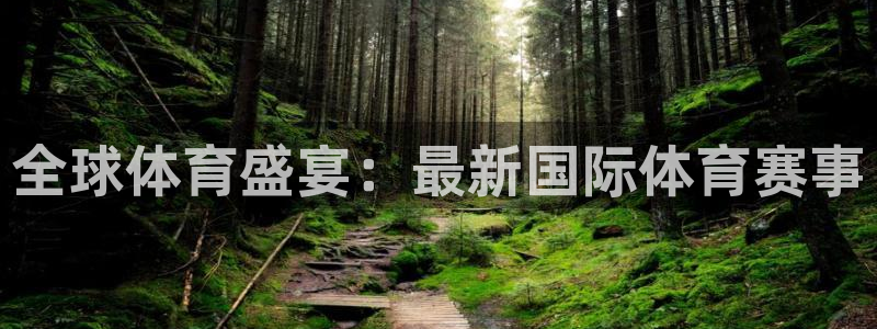 海南JJB竞技宝官网下载：全球体育盛宴：最新国际体育赛事