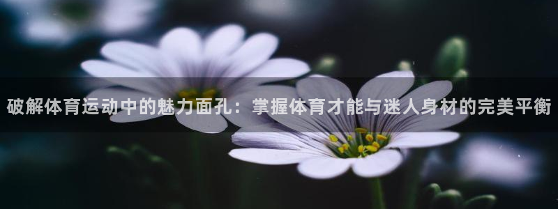 竞技宝黑钱怎么办：破解体育运动中的魅