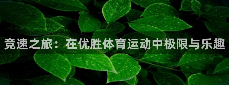 竞技宝最新网站在线观看：竞速之旅：在
